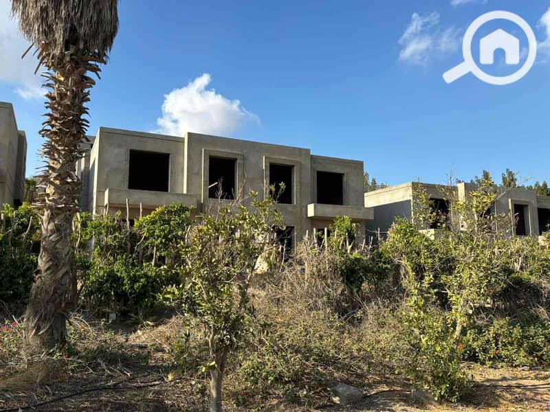 3 c07e0dd3-7a41-4bf2-8134-d9c9bcb82098. jpg