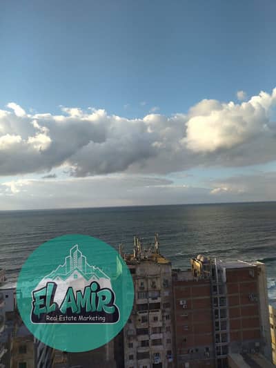 3 Bedroom Apartment for Rent in Sporting, Alexandria - WhatsApp Image 2025-10-14 at 1.21. 36 PM. jpeg