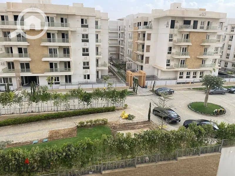 4 7bca1393-f4b6-44c5-af69-4563cc999535. jpg