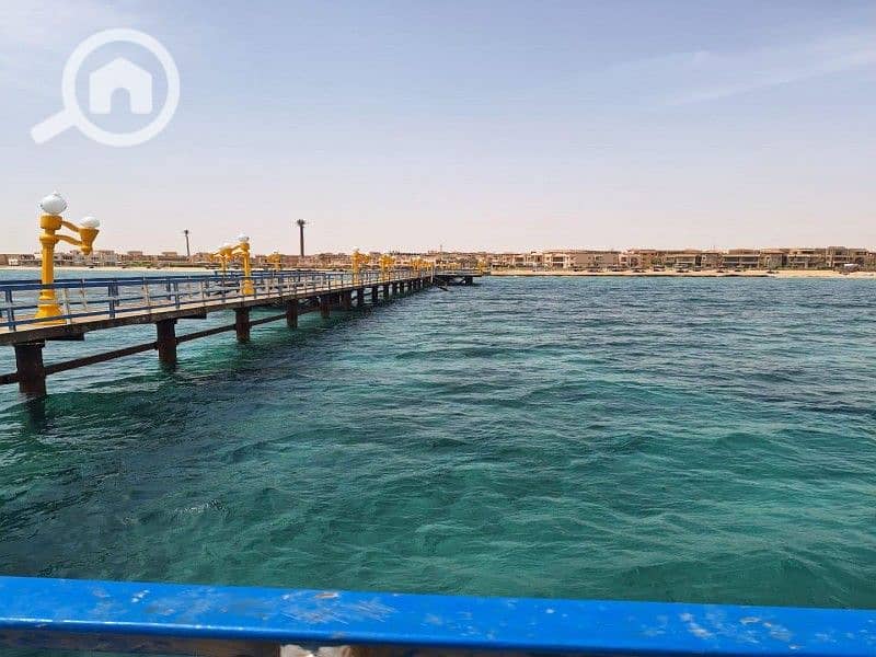 4 WhatsApp Image 2025-03-08 at 12.51. 59 PM. jpeg