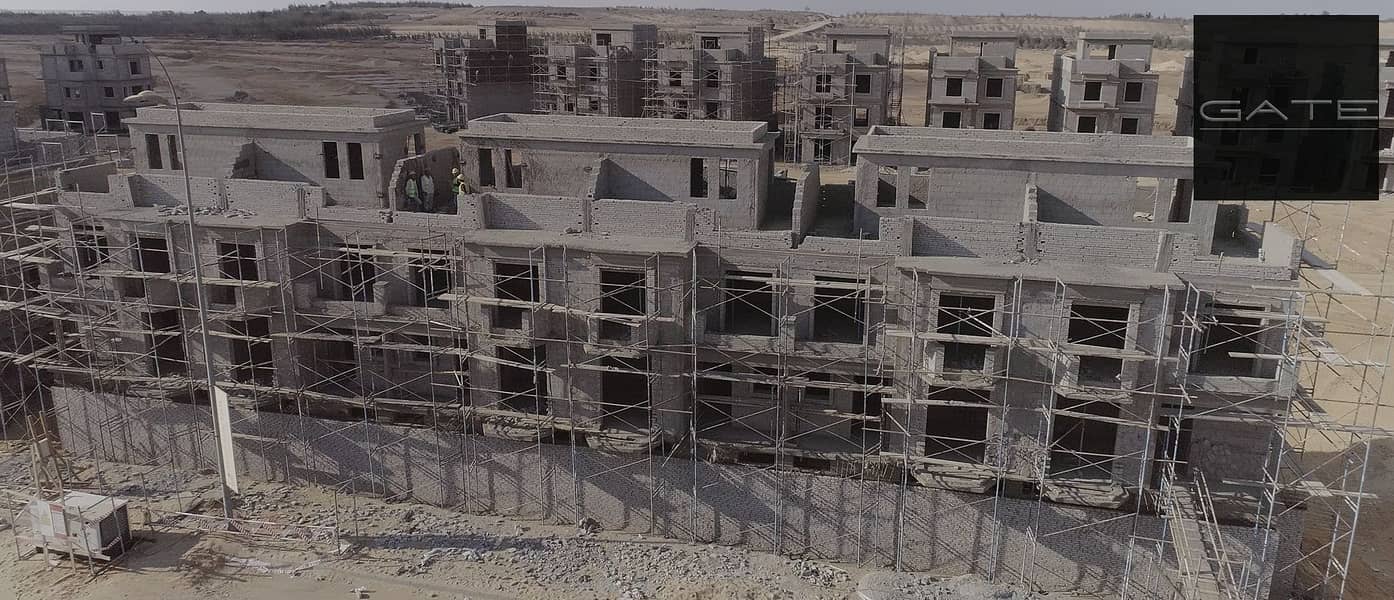 6 COP Bird4 (2). PNG