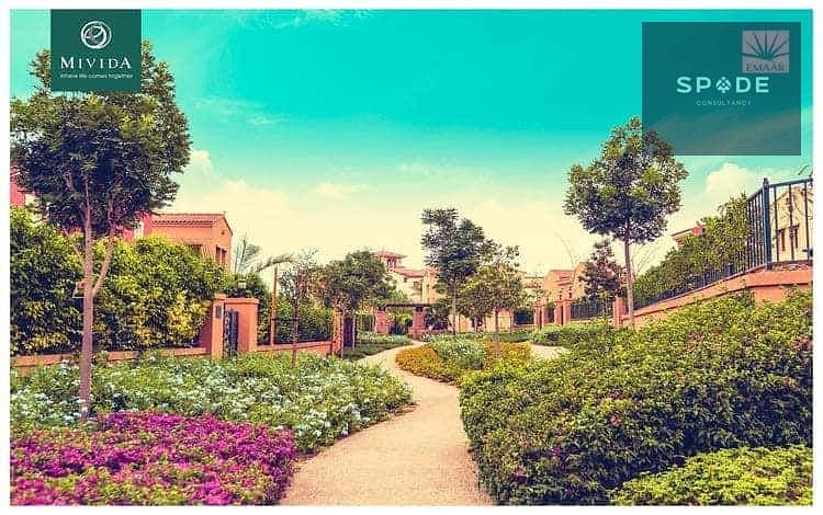 3 mivida-compound (1). jpg