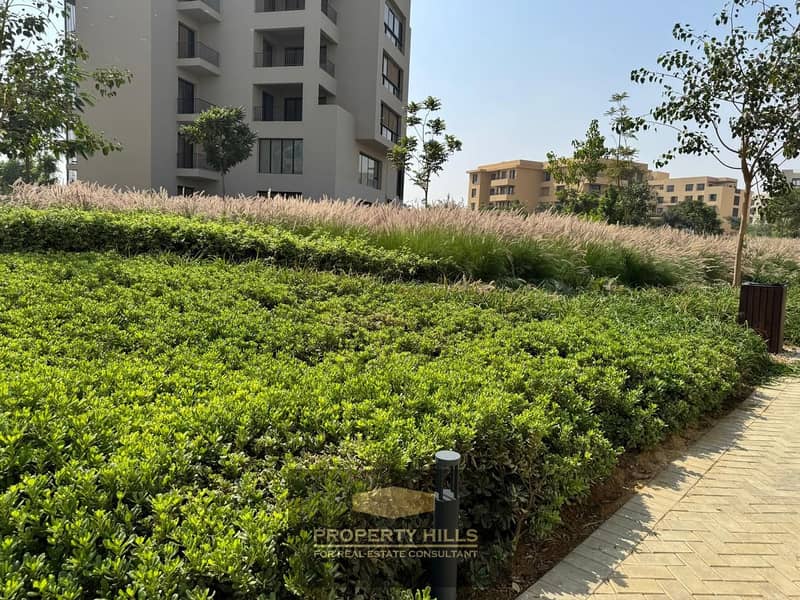 3 WhatsApp Image 2024-10-28 at 11.16. 10 AM. jpeg