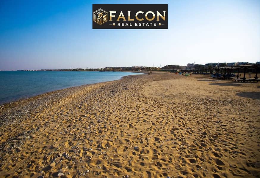 10 524283746_1321404306297024_274063496025304863_n. jpg