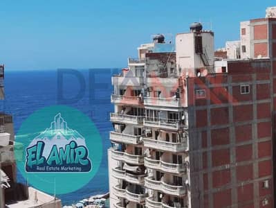 3 Bedroom Apartment for Rent in Miami, Alexandria - WhatsApp Image 2025-10-03 at 3.18. 30 PM (1). jpeg