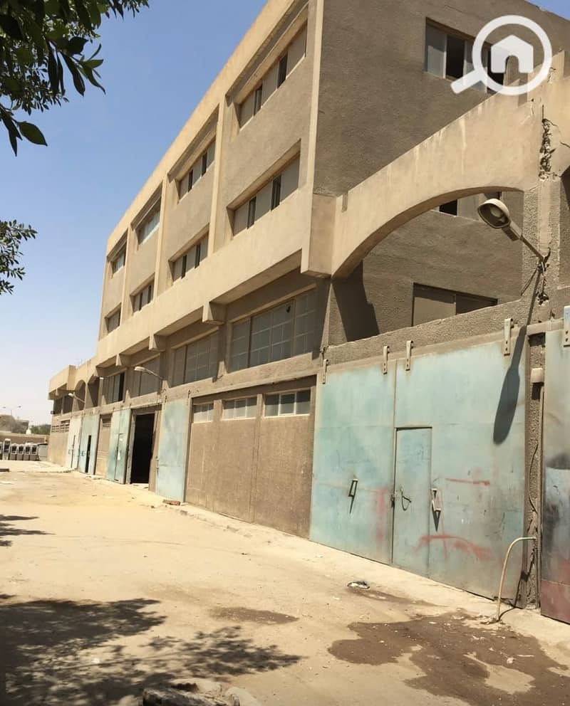 3 WhatsApp Image 2025-11-03 at 18.39. 22_a4d85aff. jpg