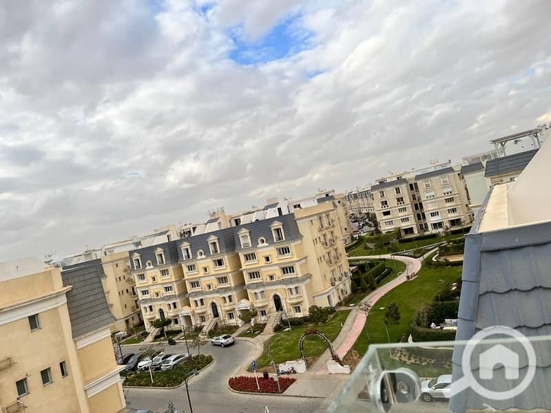 19 WhatsApp Image 2025-11-03 at 14.41. 43_1e077234. jpg