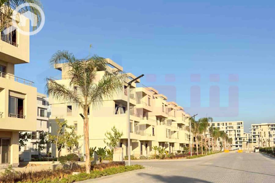 4 IMG-20251029-WA0020. jpg