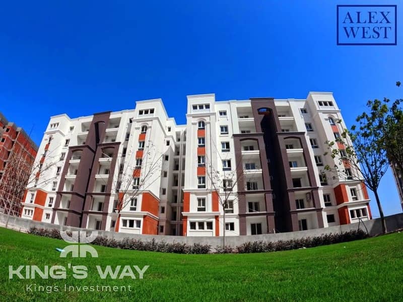 4 Copy of IMG-20250920-WA0107. jpg