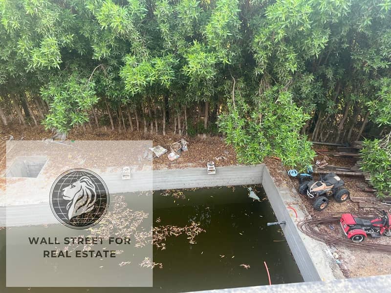 2 WhatsApp Image 2025-10-05 at 11.24. 36 AM (3). jpeg