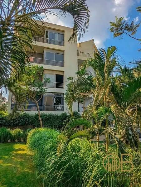 9 474874686_122108291762726450_4465704858400214402_n. jpg