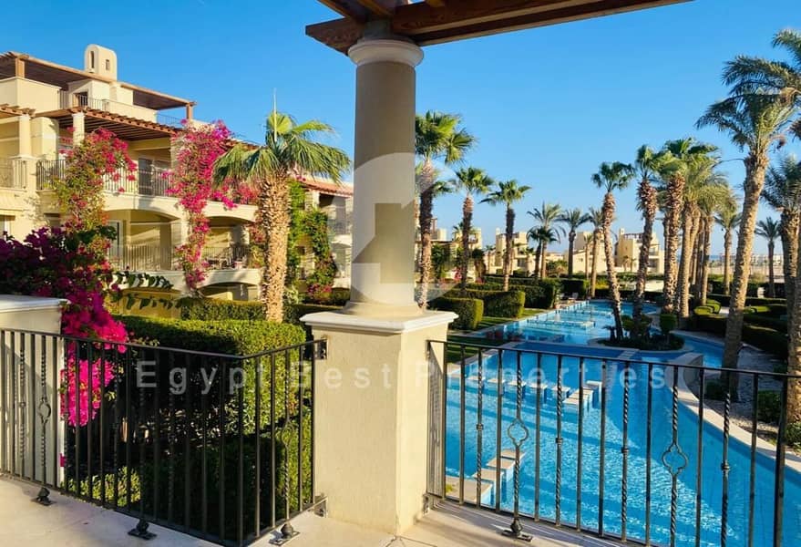 5 WhatsApp Image 2024-12-08 at 13.54. 55_eb81c20d. jpg