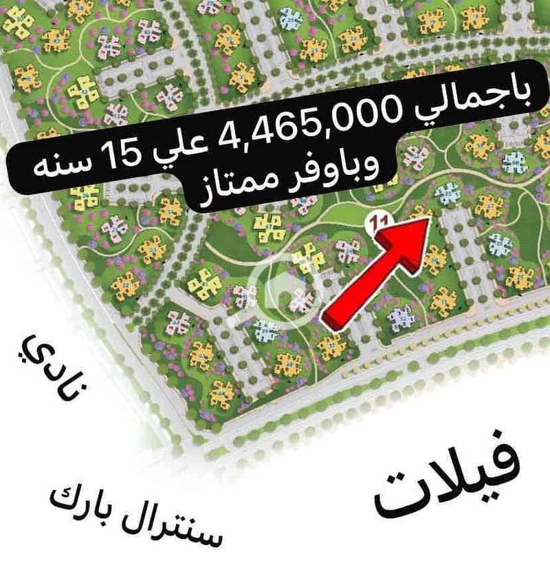 507028af-84a9-48a7-a639-c54bbe9987bb. jpg