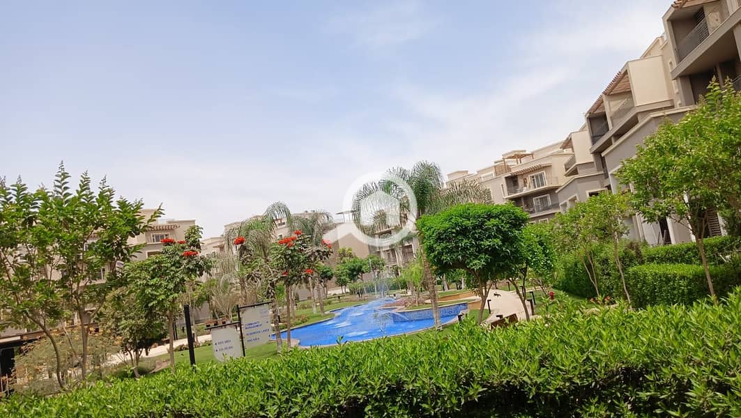 7 4808cd91-daae-4837-97de-146669a35fe3. jpg