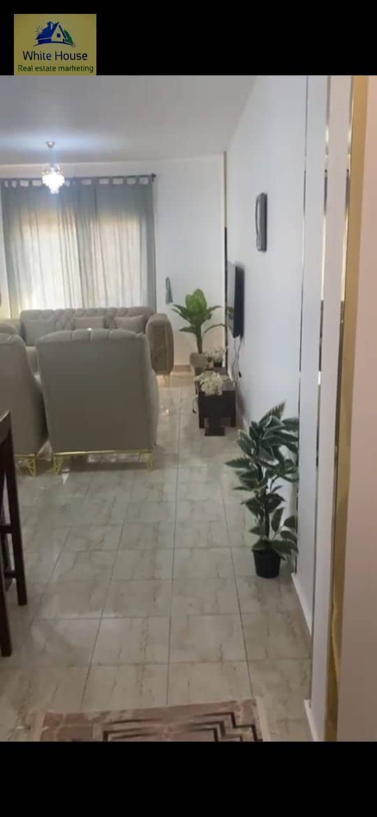 3 WhatsApp Image 2025-11-04 at 7.23. 53 AM (3). jpeg