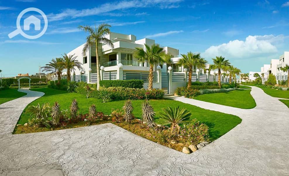 4 WhatsApp Image 2024-05-26 at 2.44. 31 PM. jpeg