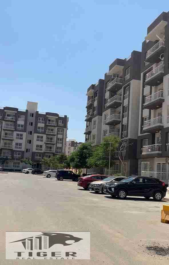 2 171c85be-3930-4838-ada6-d5a7690b57e5-1_all_33305. jpg