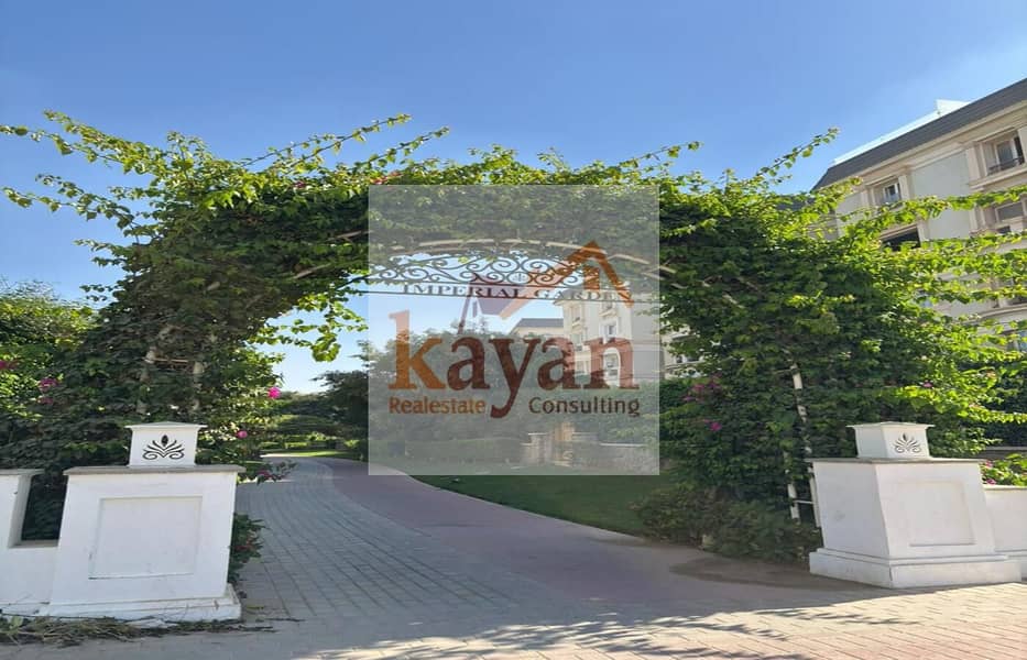 8b43fb5e-d7fd-4642-ae3a-41aa8230d7f7. jpg