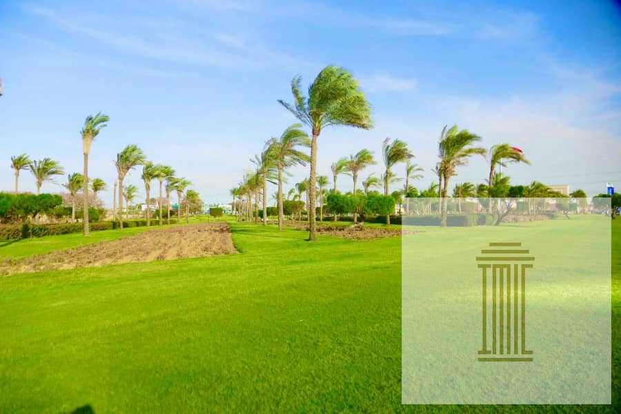 24 WhatsApp Image 2025-11-04 at 3.51. 40 AM (2). jpeg