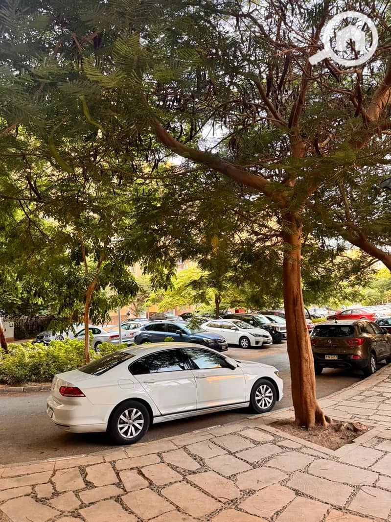 9 3d19a493-238d-446c-adf0-ad54addb915c. jpeg