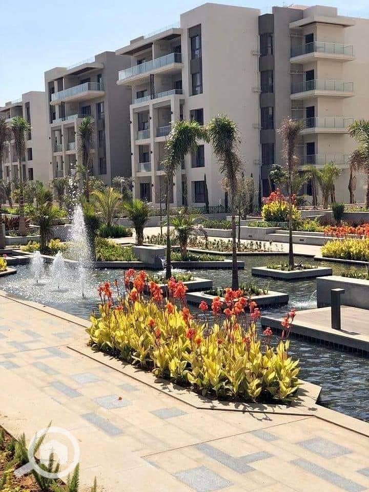 7 481906486_633566729608841_8927240615730322961_n. jpg