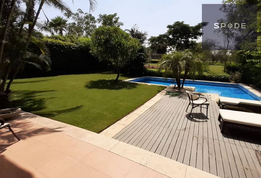 10 dd57eea6-2049-43ec-926d-ee5f328192fa. jpg