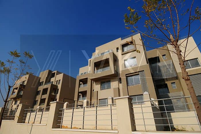 3 v185is6AMC9qleNPQ149pDbGXwwBnE. jpg