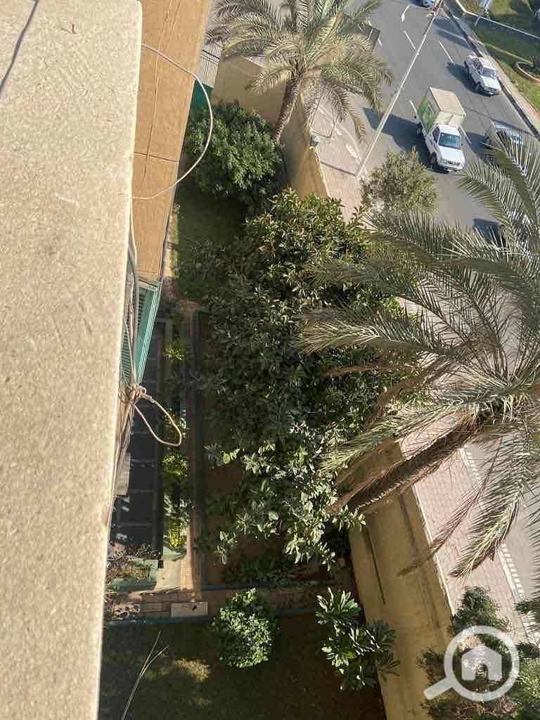 11 fe140b7a-e581-4dd1-af37-4031a0df2472. jpg