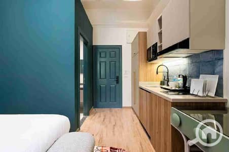 Hotel Apartment for Rent in Zamalek, Cairo - 1000104397. jpg