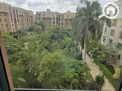 3 Bedroom Flat for Rent in New Cairo, Cairo - 1000600394. jpg