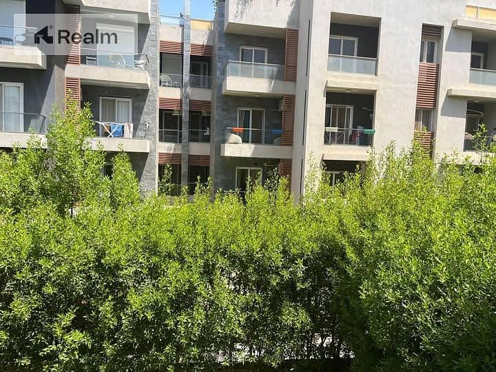 6 501085671_10162657194571147_639358304371070031_n. jpg