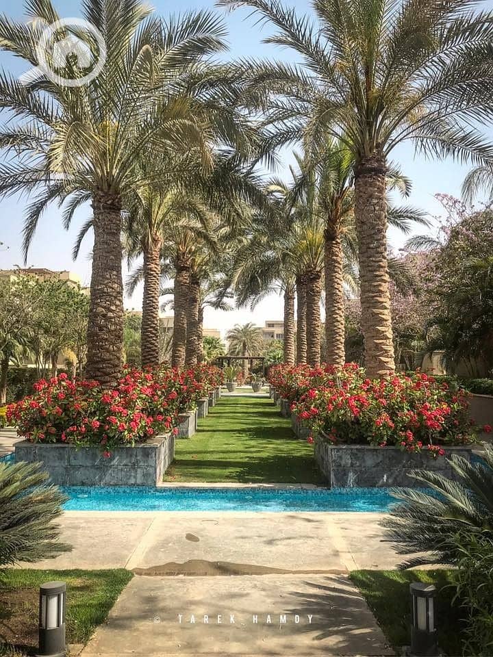 8 WhatsApp Image 2025-10-29 at 3.50. 43 AM (20). jpeg