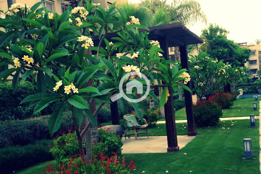 9 WhatsApp Image 2025-10-29 at 3.50. 43 AM (19). jpeg