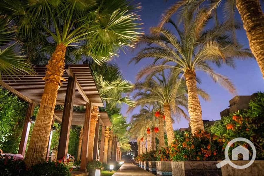 15 WhatsApp Image 2025-10-29 at 3.50. 43 AM (14). jpeg