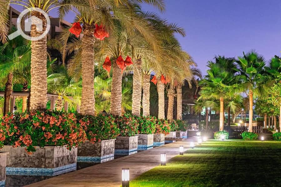 16 WhatsApp Image 2025-10-29 at 3.50. 43 AM (13). jpeg