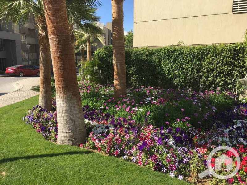 22 WhatsApp Image 2025-10-29 at 3.50. 43 AM (7). jpeg