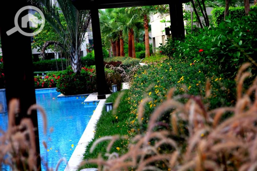 25 WhatsApp Image 2025-10-29 at 3.50. 43 AM (4). jpeg