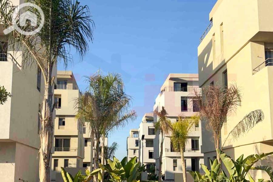 2 IMG-20251029-WA0015. jpg