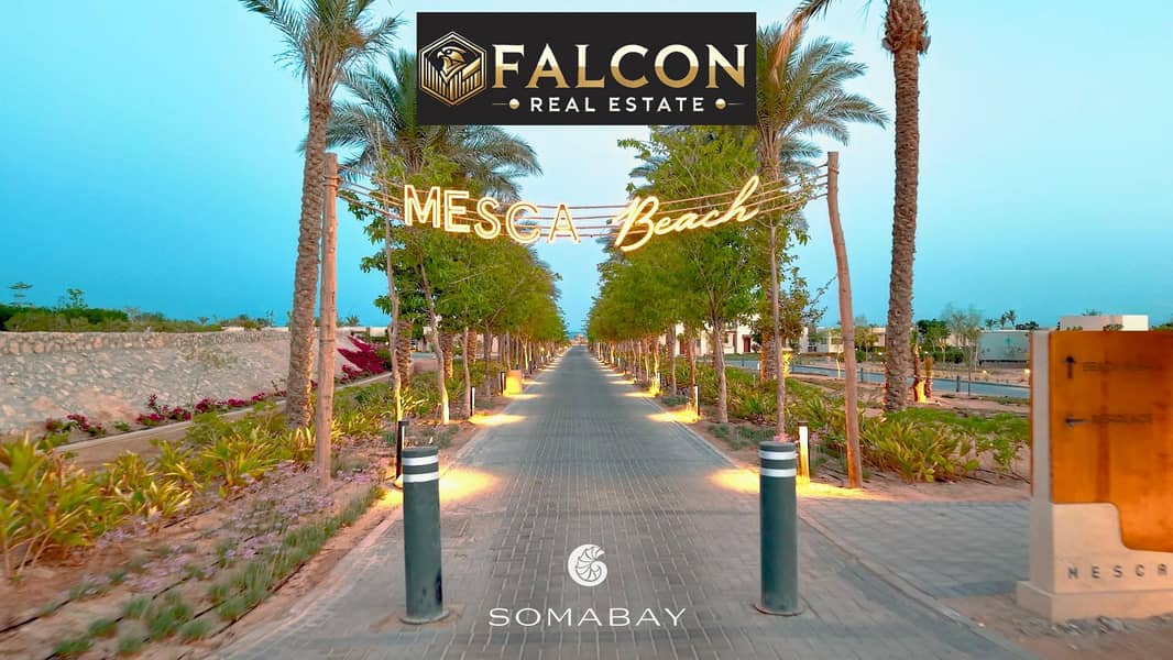 5 75b65ce6-e7a7-48a7-96a7-926234cf3176. jpg