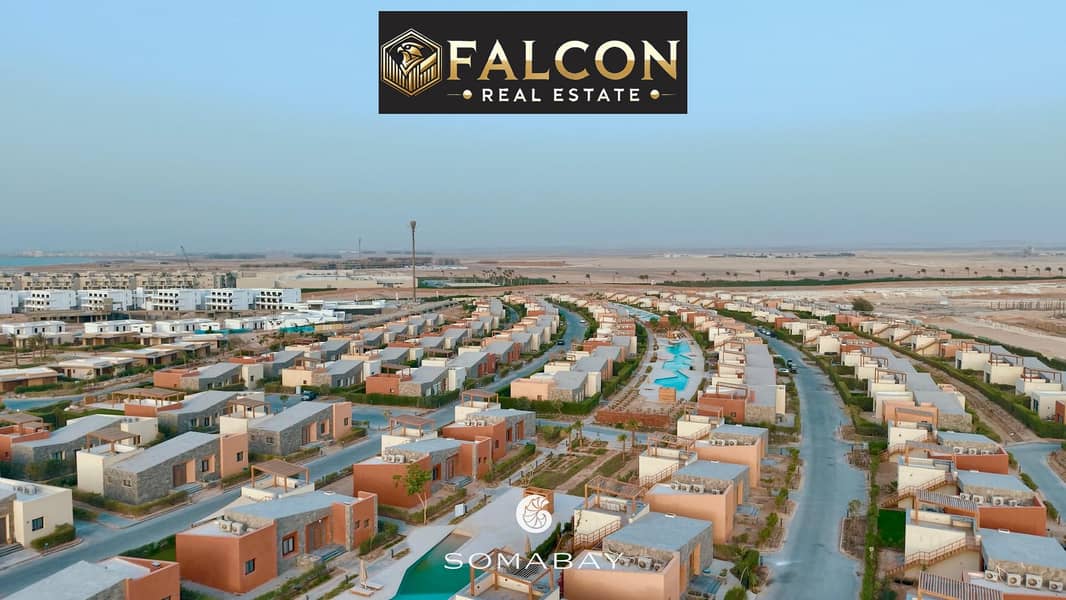 10 d7765fce-9915-4682-b67d-ddc595bb94d9. jpg