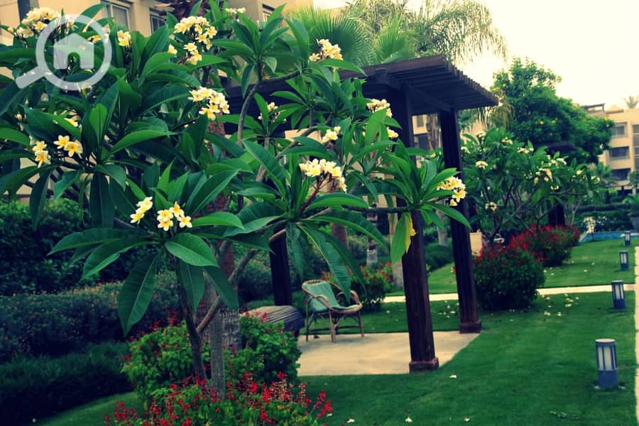 11 WhatsApp Image 2025-10-29 at 3.50. 43 AM (19). jpeg