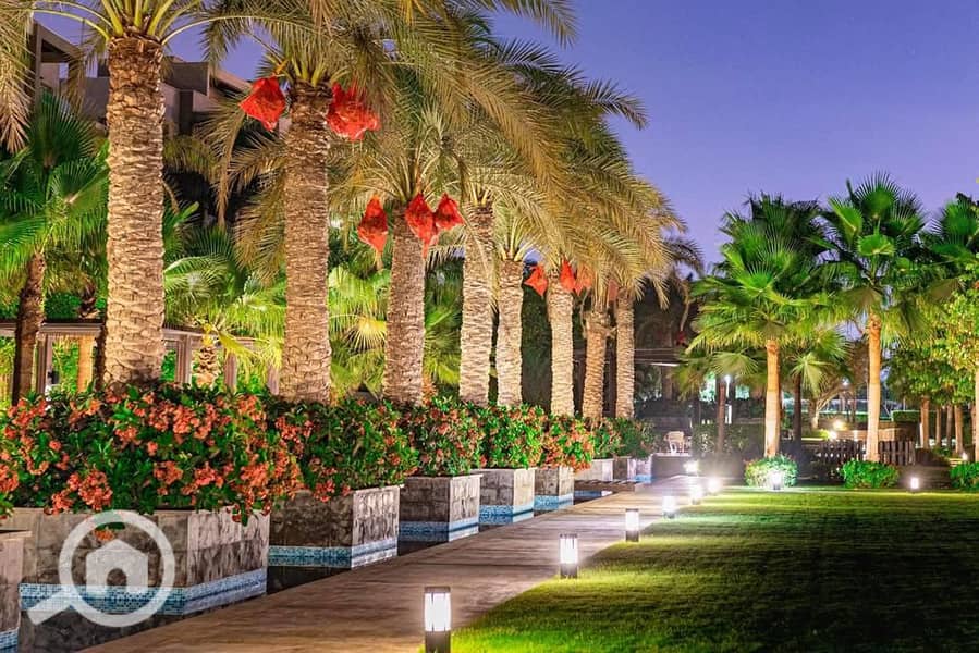 17 WhatsApp Image 2025-10-29 at 3.50. 43 AM (13). jpeg