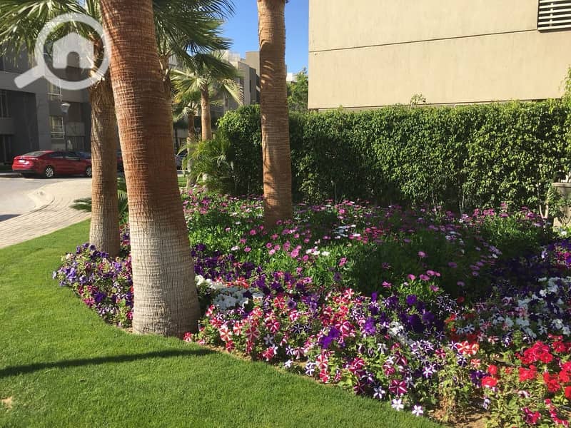 22 WhatsApp Image 2025-10-29 at 3.50. 43 AM (7). jpeg