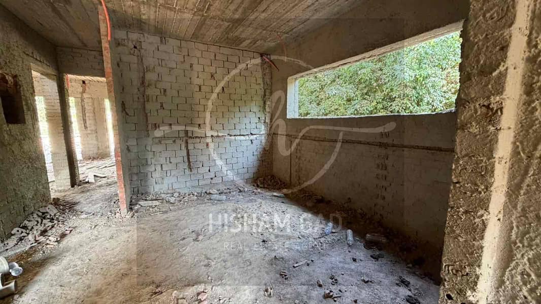 12 586a74f3-6ec3-4565-95d6-becc8f4c0079. jpg