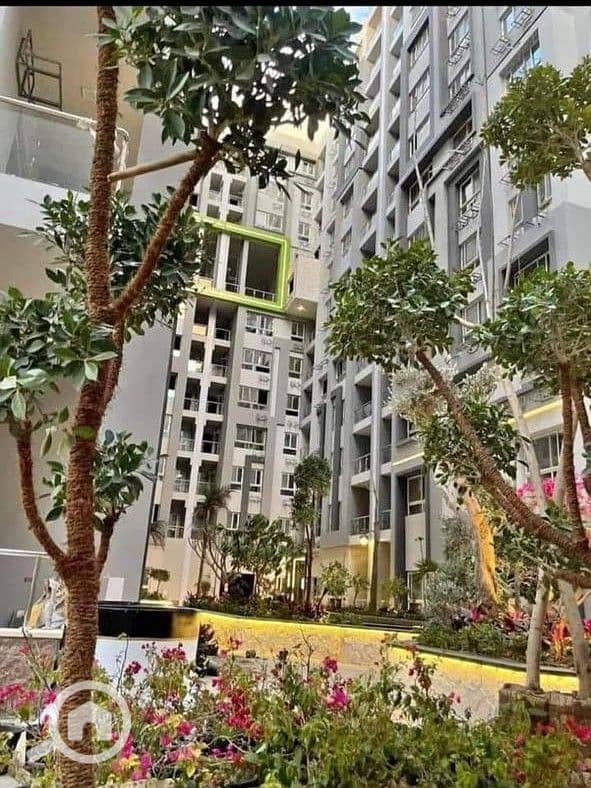 4 IMG-20240925-WA0008. jpg