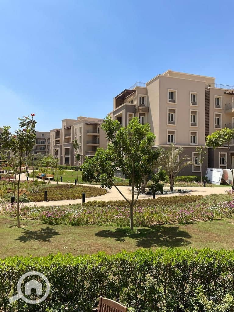 13 WhatsApp Image 2024-12-24 at 2.24. 02 PM. jpeg