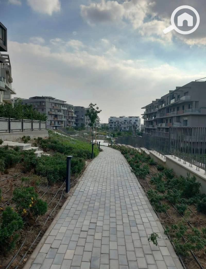 8 534962628_122208499826262866_707217390533936307_n. jpg