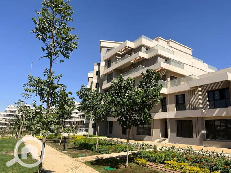 10 475229319_122169033086283898_414465697810470883_n. jpg