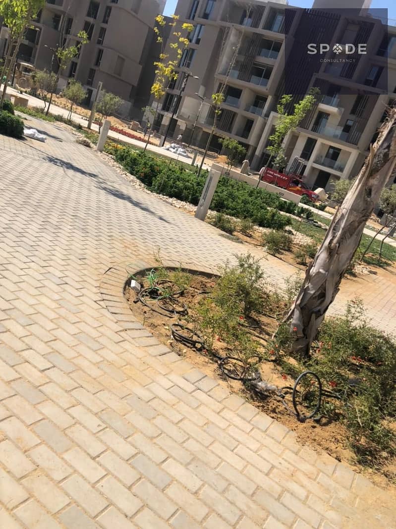 3 06e9e50e-8614-4fe3-b741-df9855dde30f. jpg