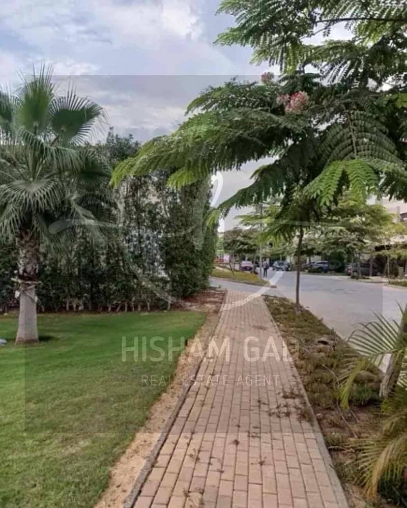 8 5940ca45-4f33-40e9-8e29-8e1993949c4f. jpg